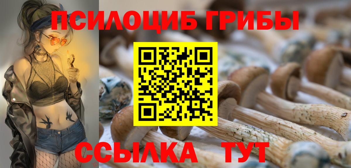 Галлюциногенные грибы GOLDEN TEACHER Новокубанск