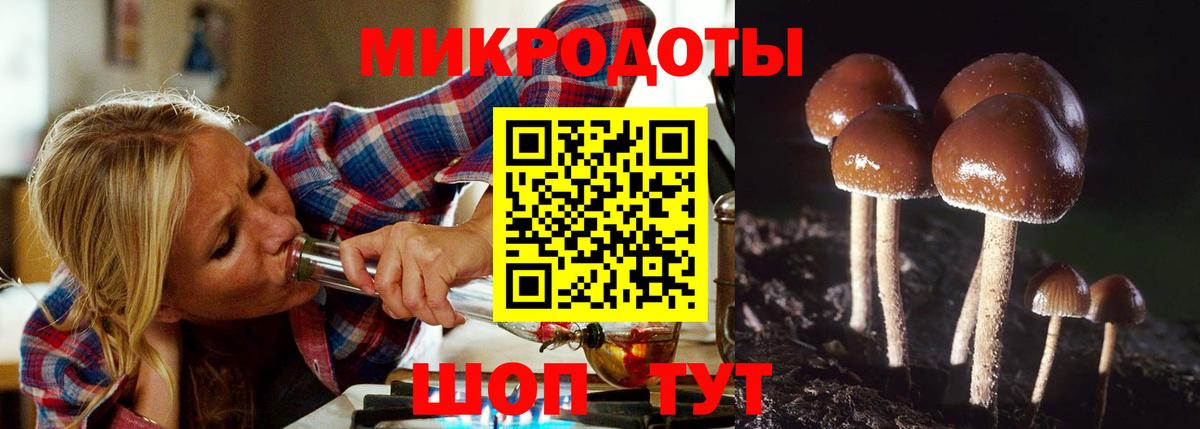 Новокубанск  Псилоцибиновые грибы Magic Shrooms  Вход с VPN 